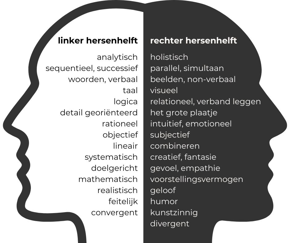 verschil linker- en rechterhersenhelft